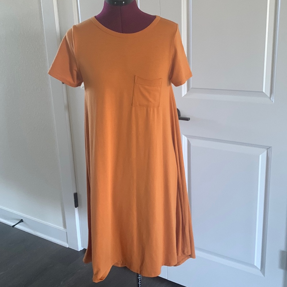 LuLaRoe Carly Dress